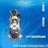 导热油泵wry50-32-170（3kw）